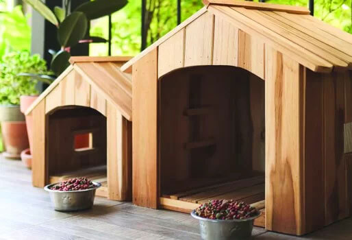 Kennels For Pets